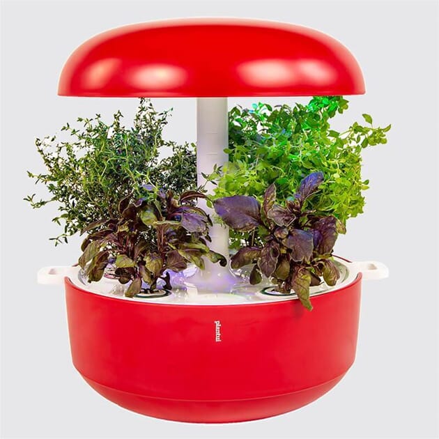 1450101 Plantui-Smart-Garden-6-Red-Main_1024x1024.jpg