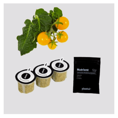 Plantui - urtepotter til kjøkkenet