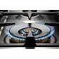 PRO126G2EART2 bluss som brenner.jpg