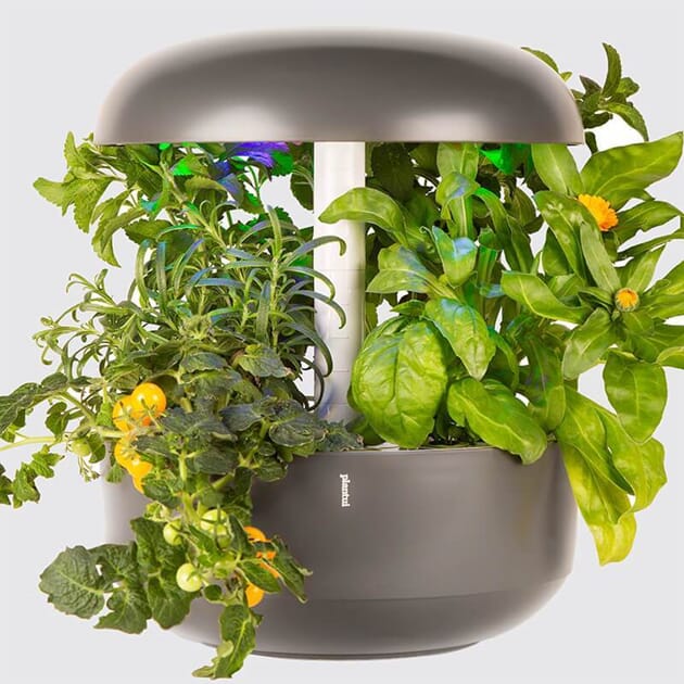 1450102 Plantui-Smart-Garden-6-Grey-Main_1024x1024.jpg